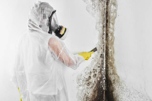 Best Mold Testing  in Orosi, CA