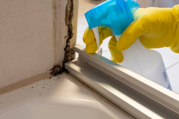 Best Mold Damage Repair  in Orosi, CA
