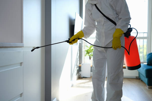 Best Fast Mold Removal  in Orosi, CA