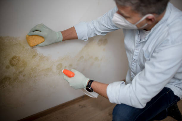 Best Residential Mold Removal  in Orosi, CA