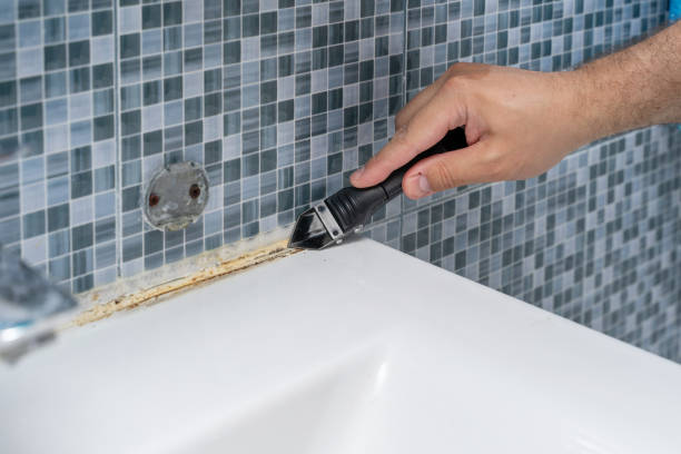 Best Mold Cleaning Services  in Orosi, CA