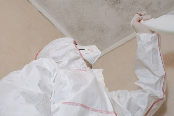 Professional Mold Removal in Orosi, CA