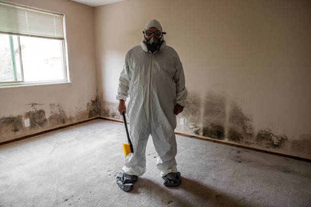 Crawl Space Mold Removal in Orosi, CA