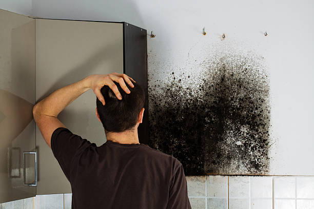 Best Mold Inspection  in Orosi, CA